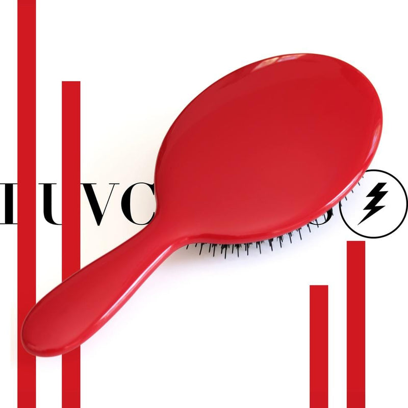 https://www.luvcircus.com/cdn/shop/products/LUVCIRCUS001-HAIRBRUSH_800x.jpg?v=1665253570